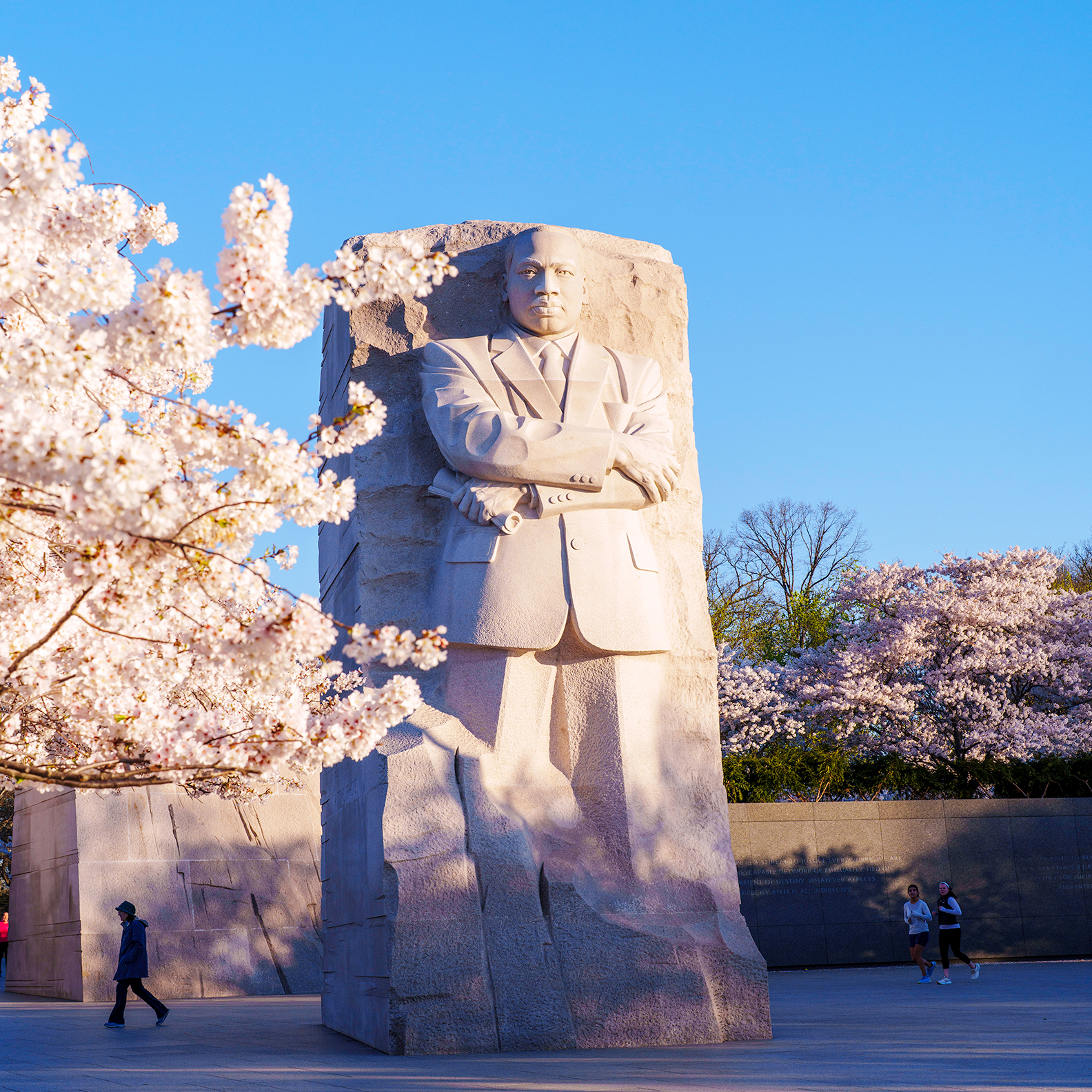 Blossoms at MLK